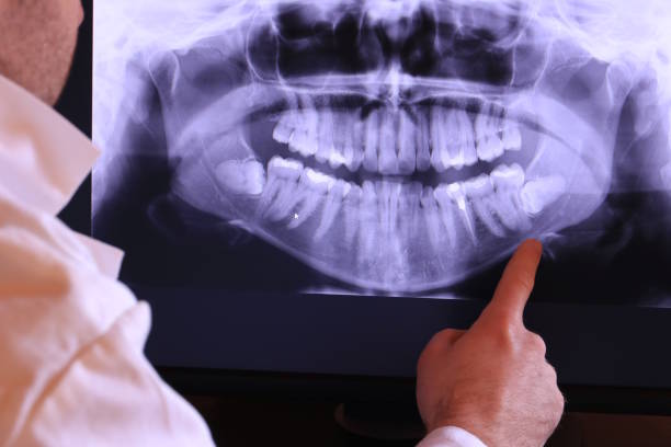 Best Emergency X-Rays and Diagnostics in Duluth, WA